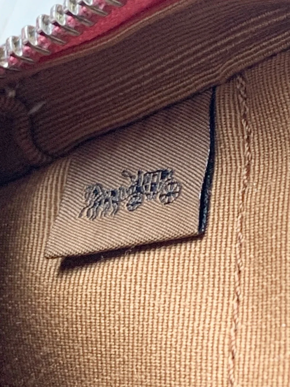 Coach Camera Bag Popsicle Print New